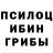 Галлюциногенные грибы прущие грибы lamionna chan