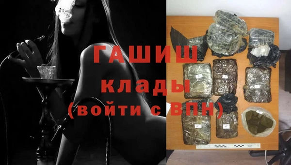 гидра Алексеевка