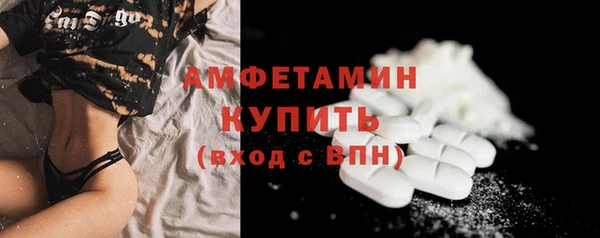 гидра Инсар