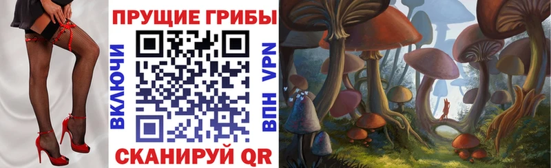 Псилоцибиновые грибы Magic Shrooms  Чебоксары 