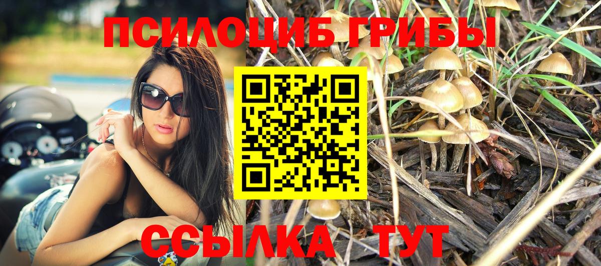 Галлюциногенные грибы Magic Shrooms Чебоксары